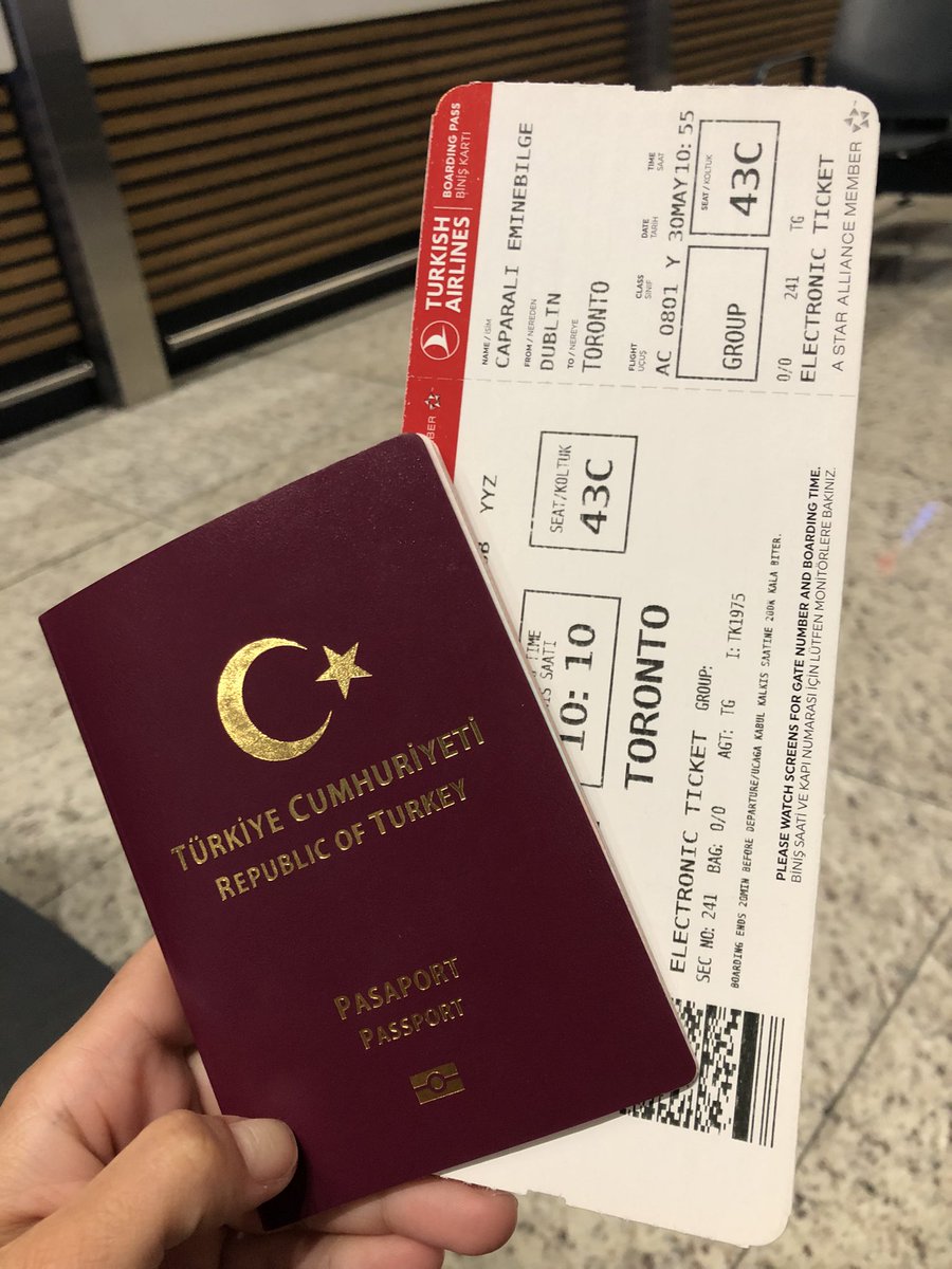 pasaport cu bilet avion